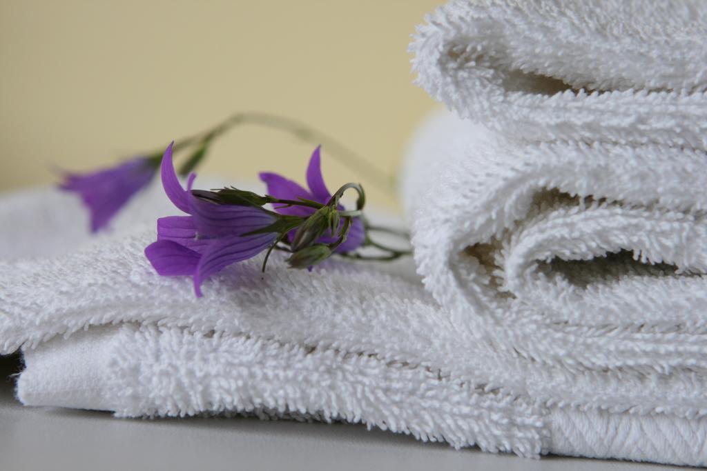 Hotel Audenis Birštonas Kültér fotó