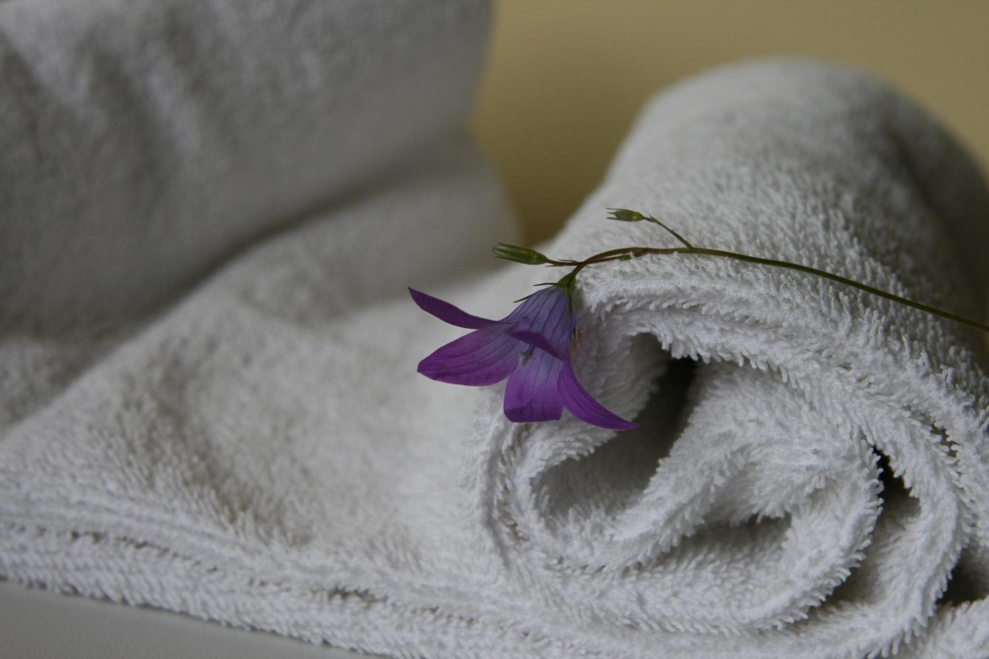 Hotel Audenis Birštonas Szoba fotó