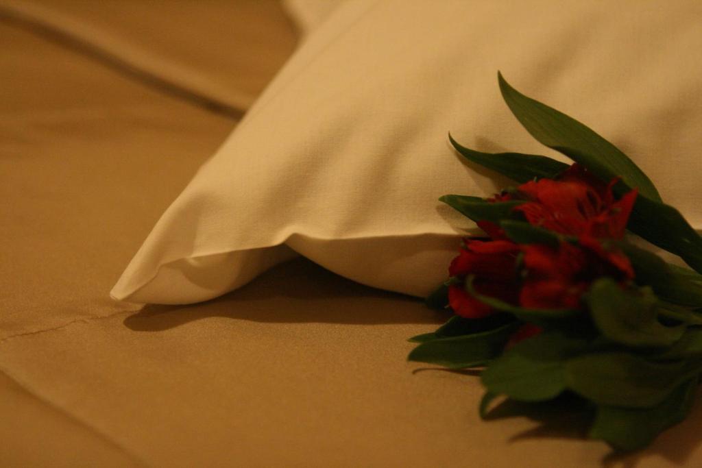 Hotel Audenis Birštonas Kültér fotó